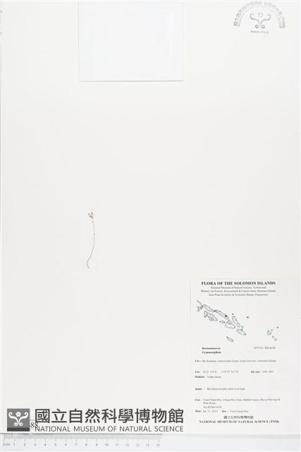 登錄號:BS04688藏品圖，第1張