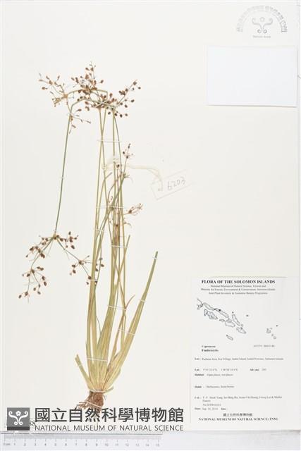 登錄號:BS05188藏品圖，第1張
