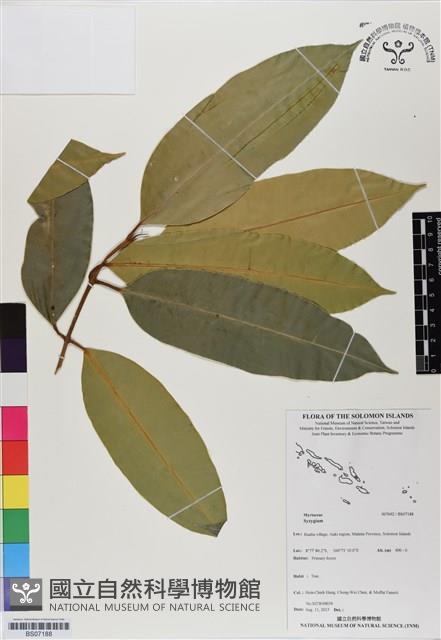 登錄號:BS07188藏品圖，第1張