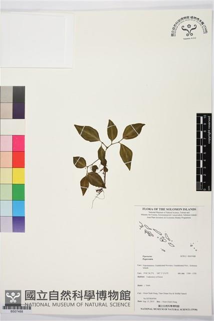 登錄號:BS07488藏品圖，第1張