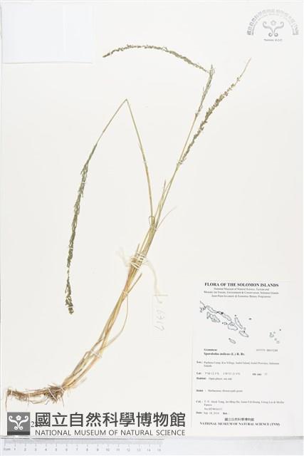 登錄號:BS05288藏品圖，第1張