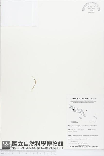 登錄號:BS04288藏品圖，第1張