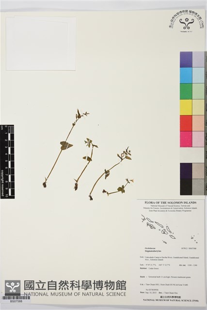 登錄號:BS07588藏品圖，第1張