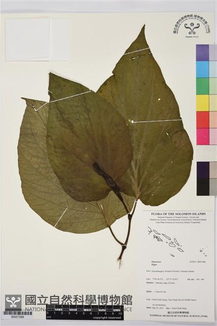 登錄號:BS07388藏品圖，第1張