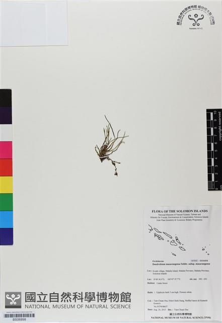 登錄號:BS06898藏品圖，第1張