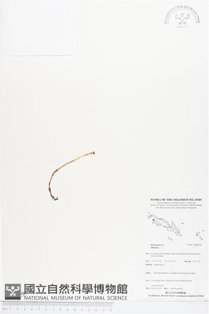 登錄號:BS04098藏品圖，第1張