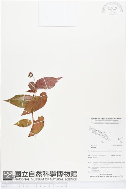 登錄號:BS04698藏品圖，第1張