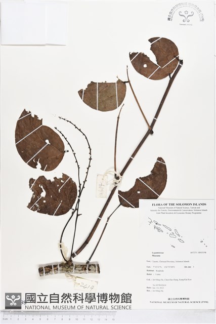 登錄號:BS03198藏品圖，第1張