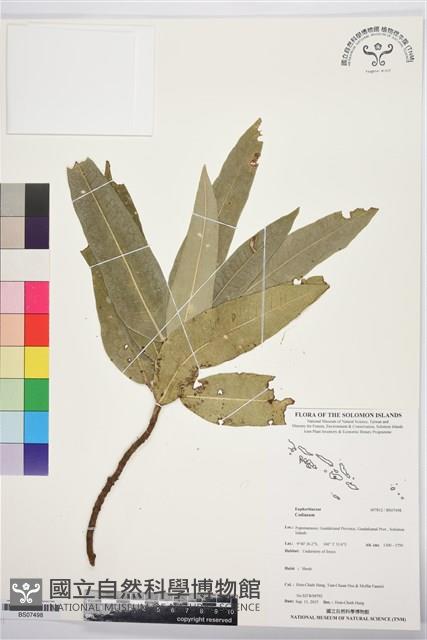 登錄號:BS07498藏品圖，第1張