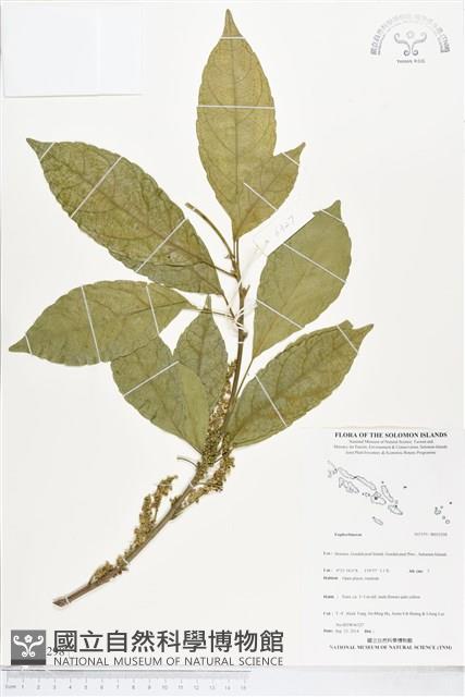 登錄號:BS05298藏品圖，第1張