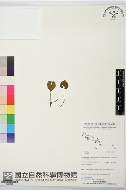 登錄號:BS07598藏品圖，第1張