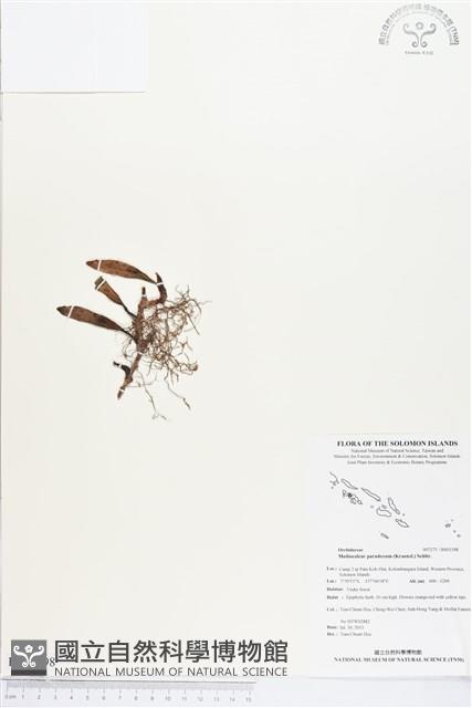 登錄號:BS03398藏品圖，第1張