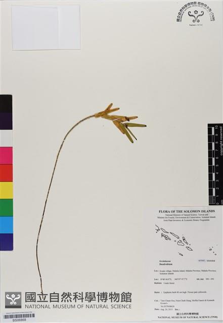 登錄號:BS06868藏品圖，第1張