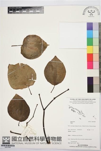 登錄號:BS07868藏品圖，第1張