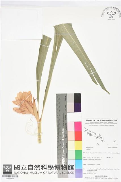 登錄號:BS06068藏品圖，第1張