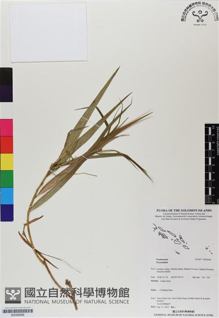 登錄號:BS06668藏品圖，第1張