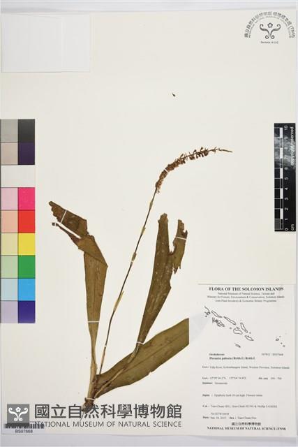 登錄號:BS07668藏品圖，第1張