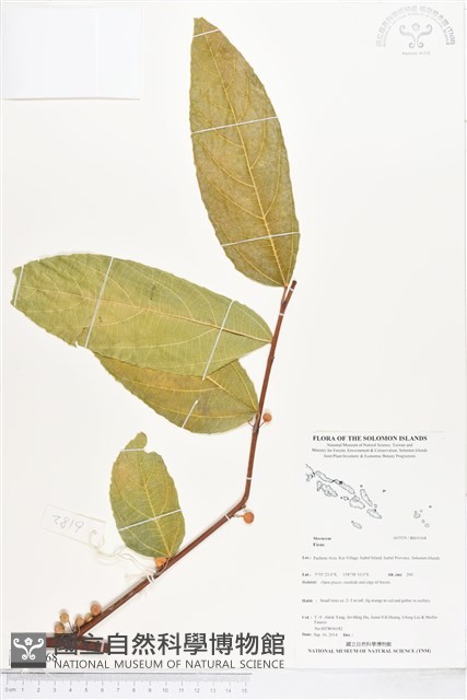 登錄號:BS05168藏品圖，第1張
