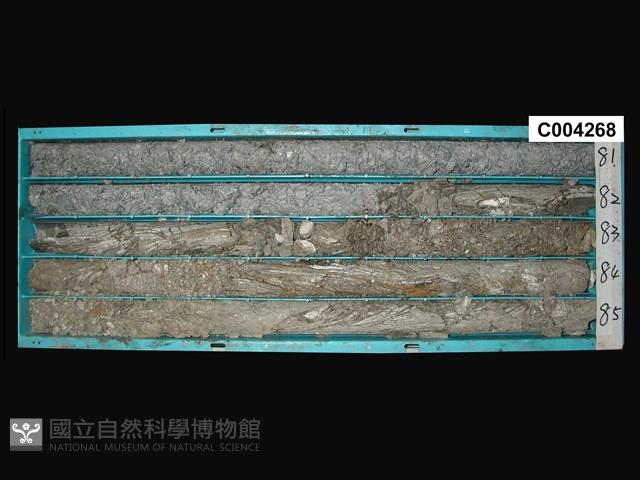 登錄號:C004268藏品圖，第1張