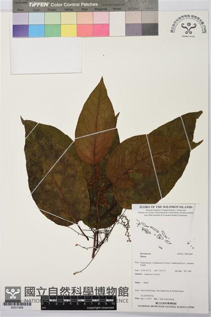 登錄號:BS07468藏品圖，第1張