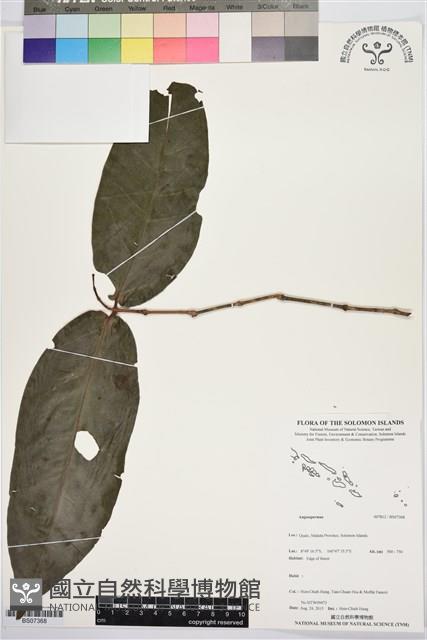 登錄號:BS07368藏品圖，第1張