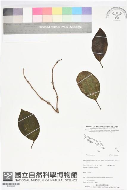 登錄號:BS06048藏品圖，第1張