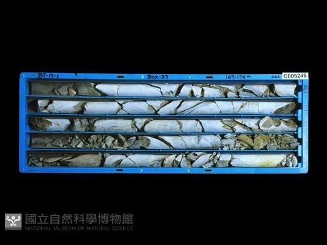 登錄號:C005248藏品圖，第1張