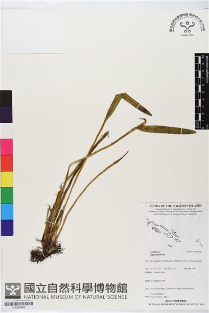登錄號:BS06448藏品圖，第1張