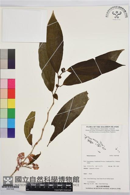 登錄號:BS07448藏品圖，第1張