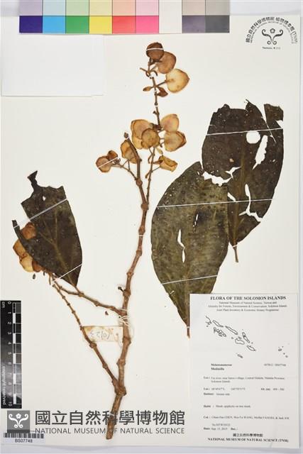 登錄號:BS07748藏品圖，第1張