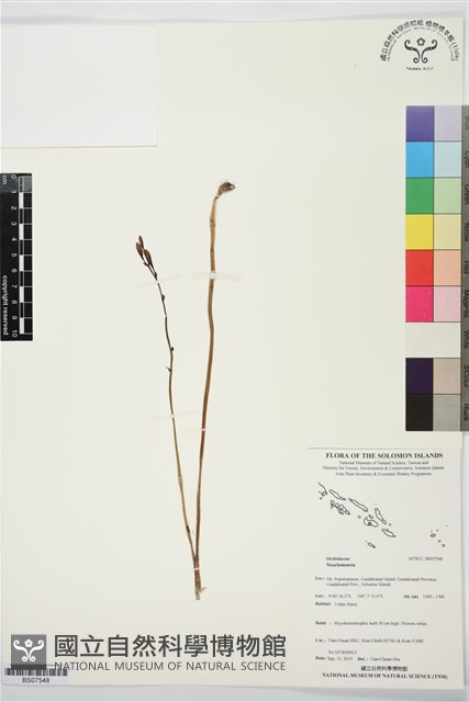 登錄號:BS07548藏品圖，第1張