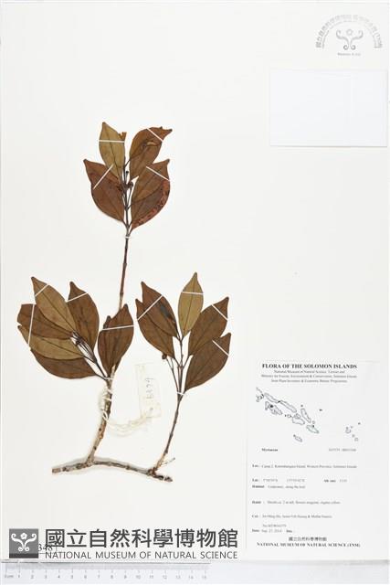 登錄號:BS05348藏品圖，第1張