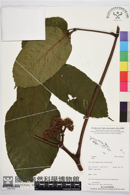 登錄號:BS07348藏品圖，第1張