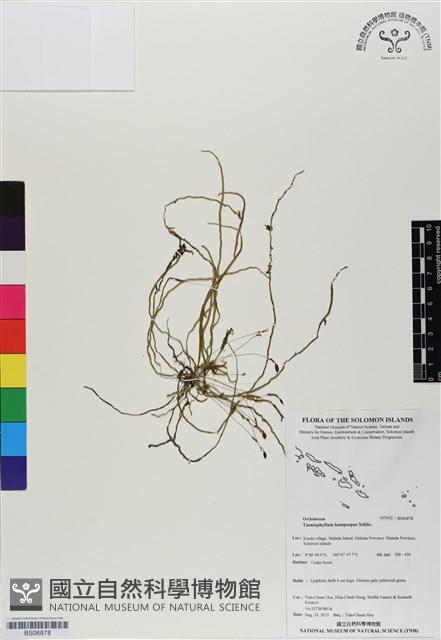 登錄號:BS06878藏品圖，第1張