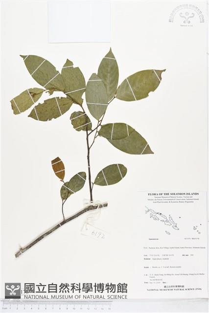 登錄號:BS05178藏品圖，第1張