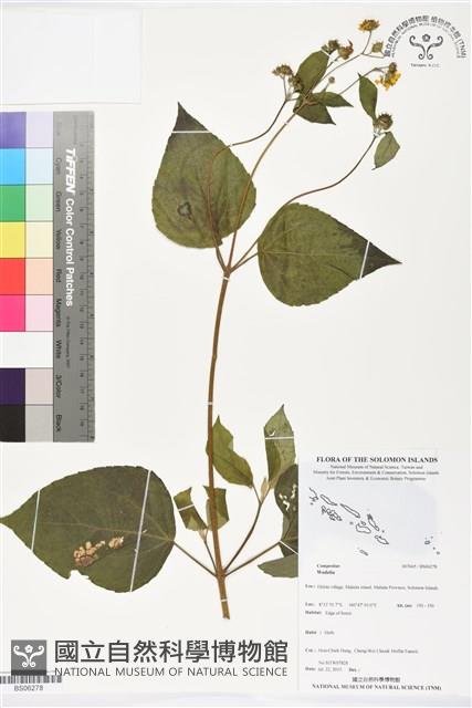 登錄號:BS06278藏品圖，第1張
