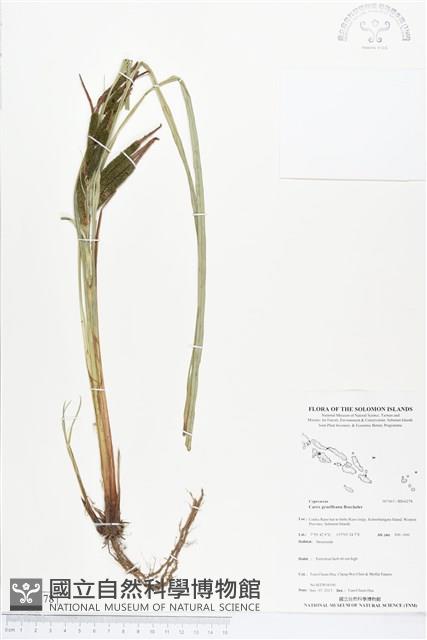 登錄號:BS04278藏品圖，第1張