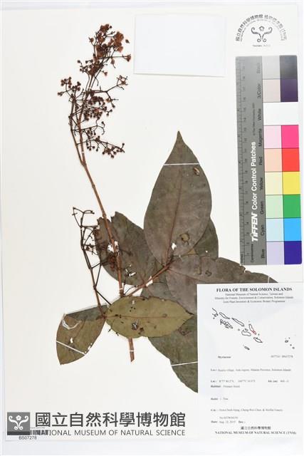 Accession Number:BS07278 Collection Image