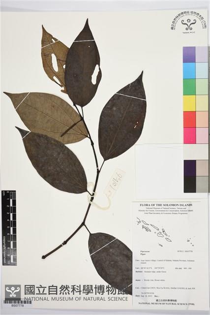 登錄號:BS07778藏品圖，第1張