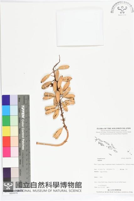 登錄號:BS05578藏品圖，第1張