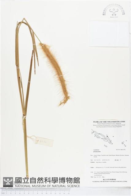 登錄號:BS05378藏品圖，第1張