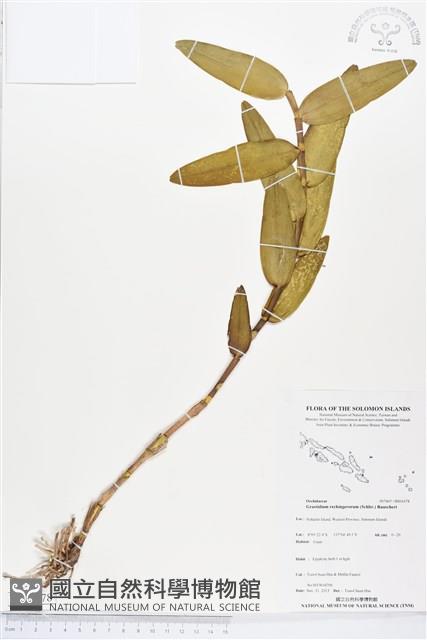 登錄號:BS04378藏品圖，第1張