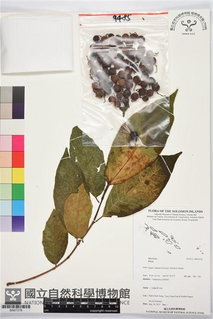 登錄號:BS07378藏品圖，第1張