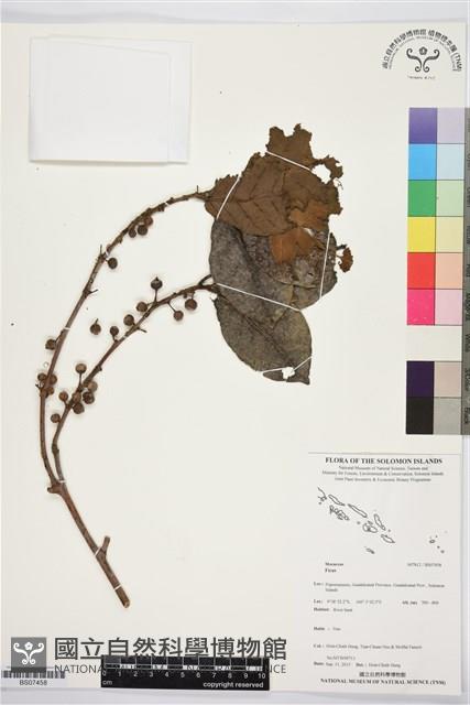 登錄號:BS07458藏品圖，第1張