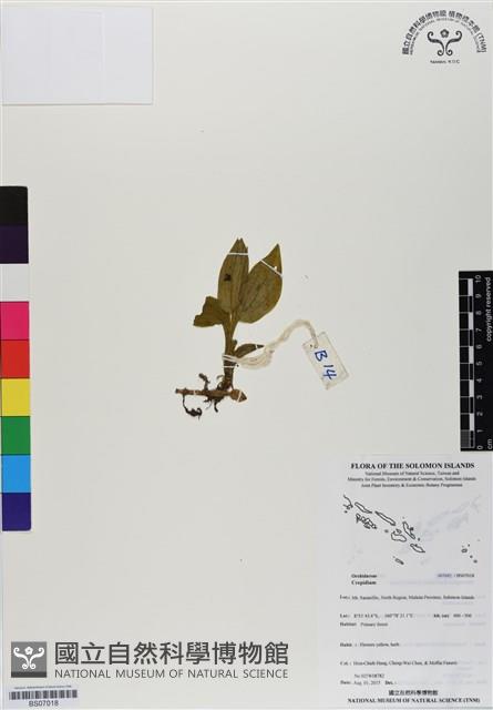 登錄號:BS07018藏品圖，第1張