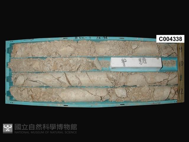 登錄號:C004338藏品圖，第1張