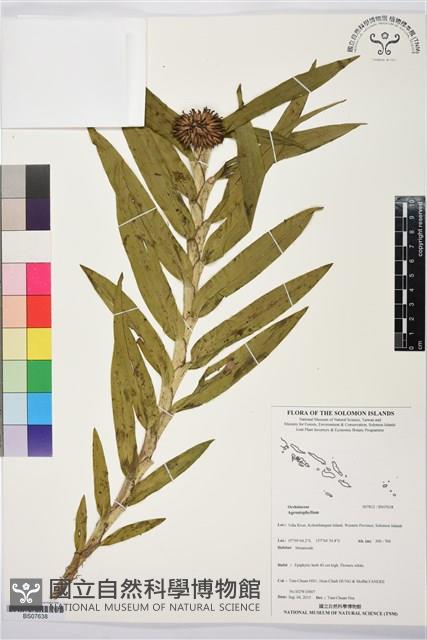 登錄號:BS07638藏品圖，第1張