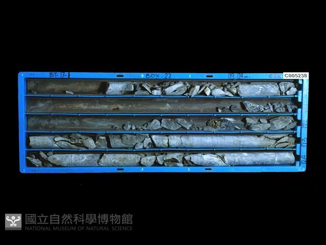 登錄號:C005238藏品圖，第1張