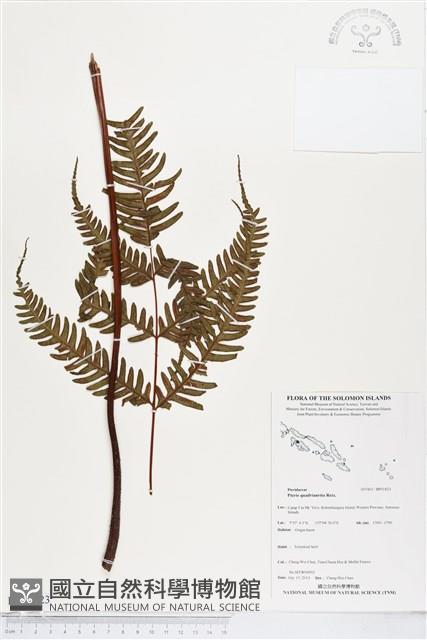 登錄號:BP01823藏品圖，第1張