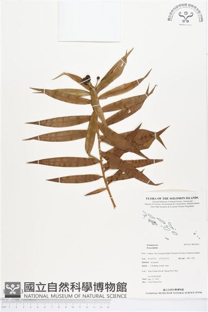 登錄號:BS01823藏品圖，第1張